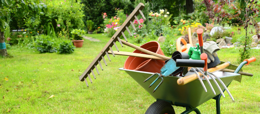 Manutenzione Giardino